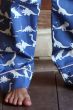 Dinosaur Blue Classic Pyjama