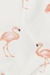 Flamingo Bib