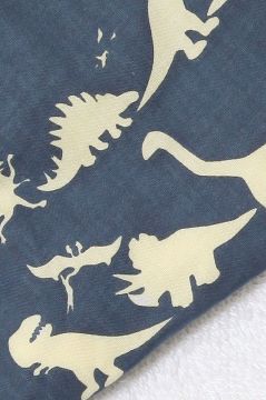Dinosaur Blue Hooded Towel