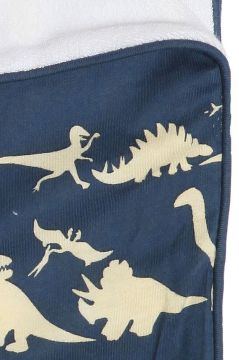 Dinosaur Blue Towelling Blanket