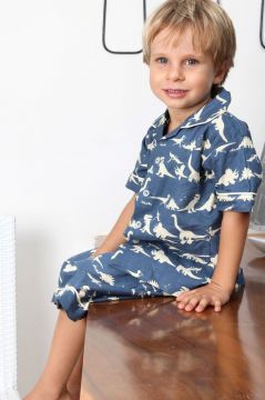 Dinosaur Blue Short Pyjamas 