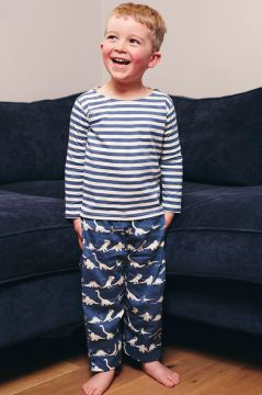 Dinosaur Blue Striped T-Shirt Pyjama 
